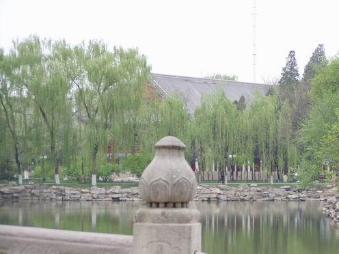 春天，北京大学